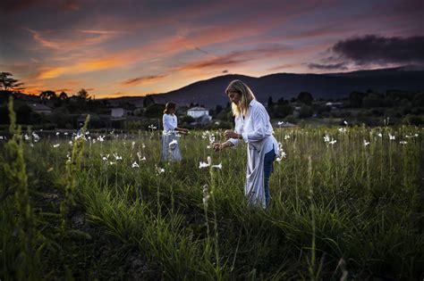 dior and the environment|dior sustainability initiative.